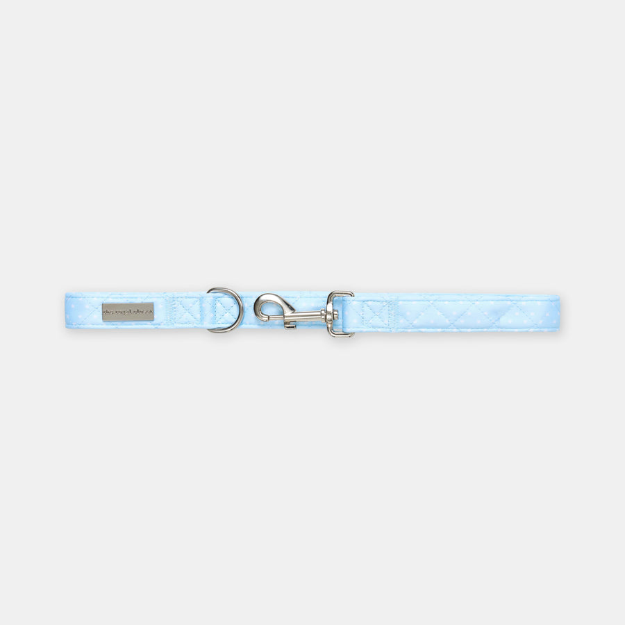 The Dot Lead