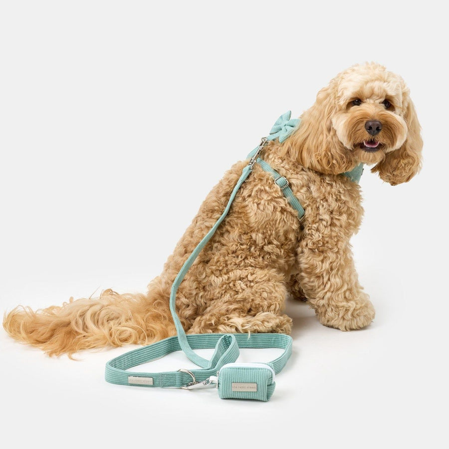 The Cord Lead