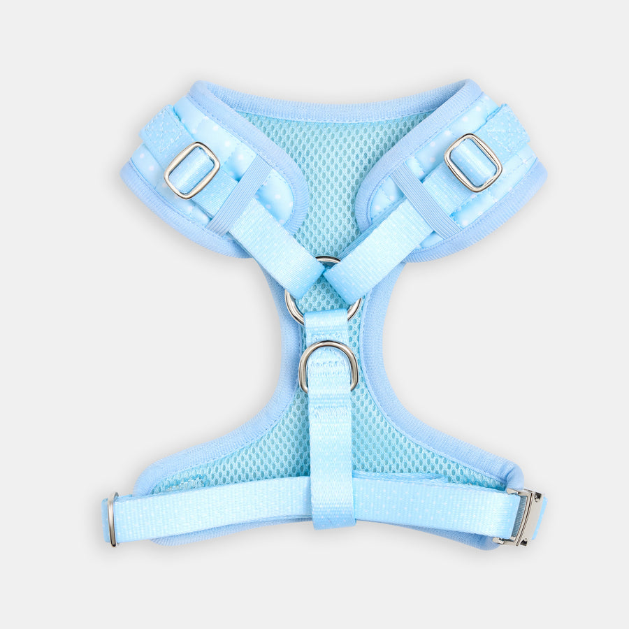 The Dot Harness - reverse view