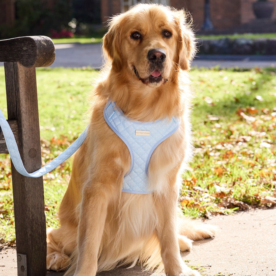 Sully wearing size L