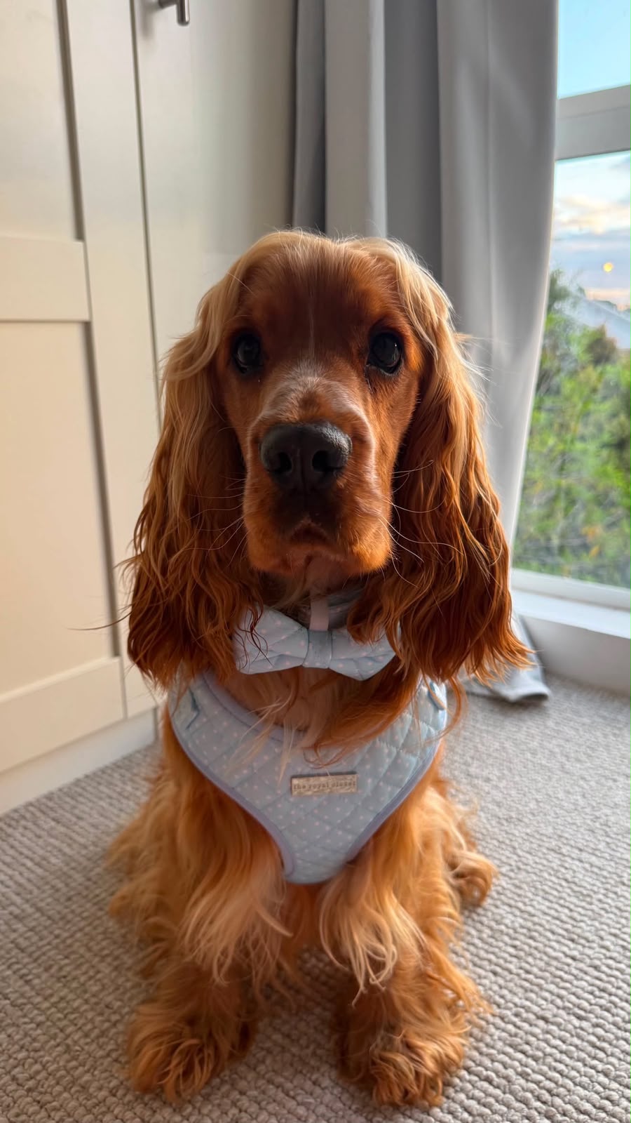 Lucy H (@percy.boy.jackson)