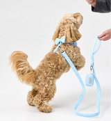 The Dot Poop Bag Holder