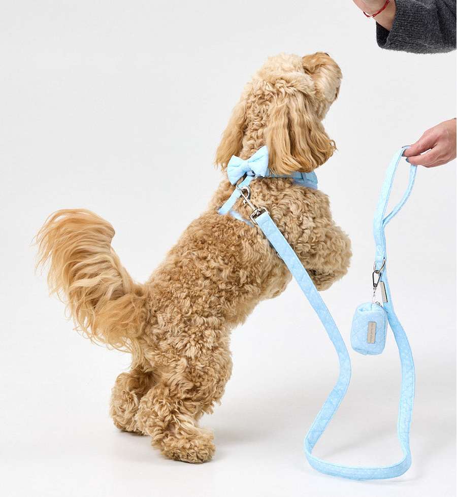 The Dot Poop Bag Holder