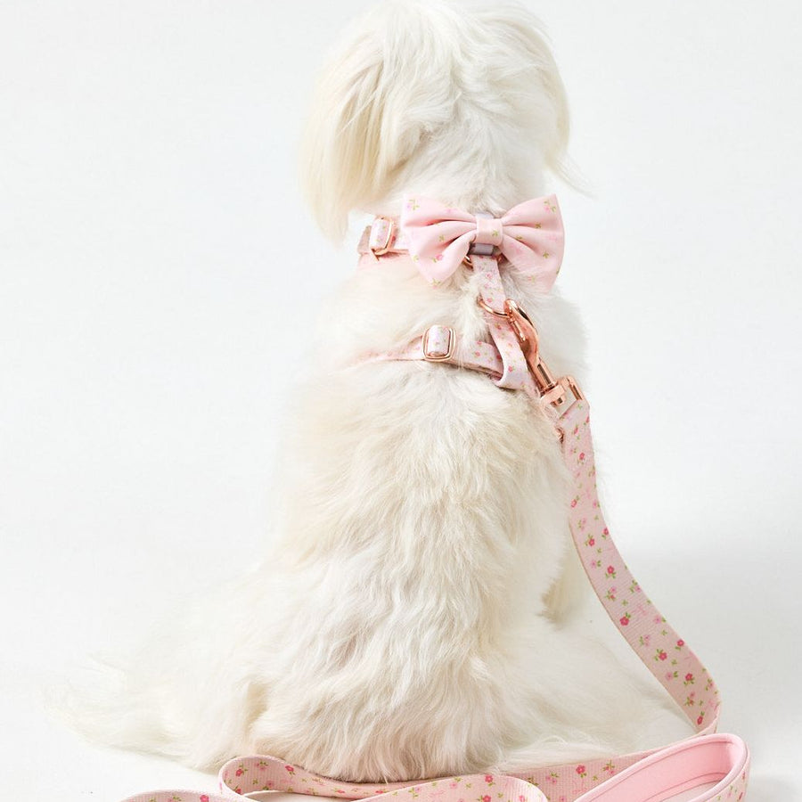 The Floral Bow