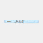 The Dot Lead
