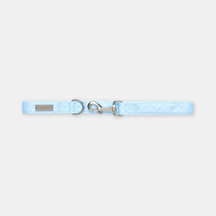 The Dot Lead