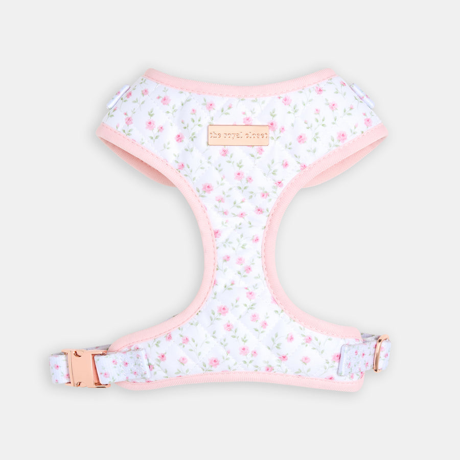 The Rose Walk Kit