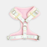 The Teddy Harness - reverse view