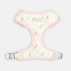 The Teddy Harness - front view