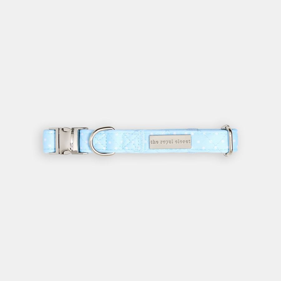 The Dot Collar - collar view