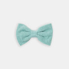 The Cord Bow - bow view