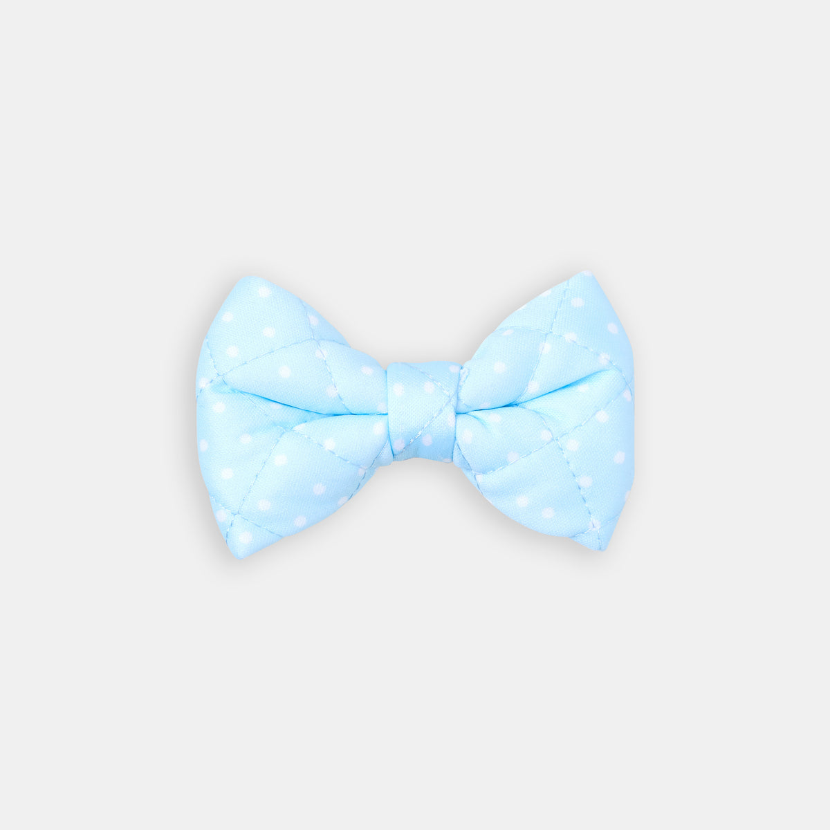 The Dot Bow - bow view