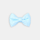 The Dot Bow - bow view