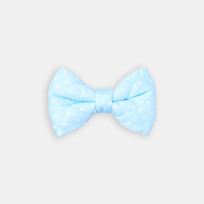 The Dot Bow - bow view