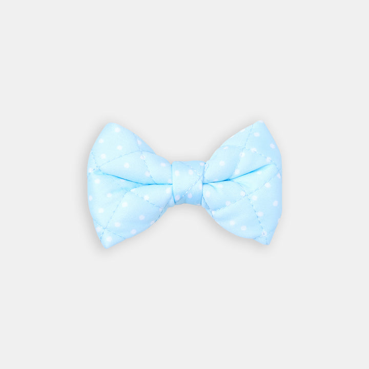 The Dot Bow - bow view