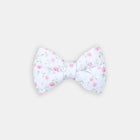 The Rose Bow - bow view