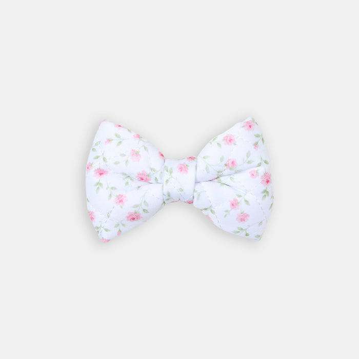 The Rose Bow - bow view