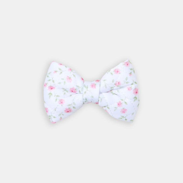 The Rose Bow - bow view