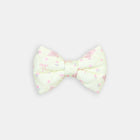 The Teddy Bow - bow view