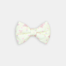 The Teddy Bow - bow view