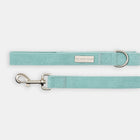 The Cord Lead - lead view