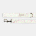 The Teddy Lead - lead view
