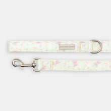 The Teddy Lead - lead view