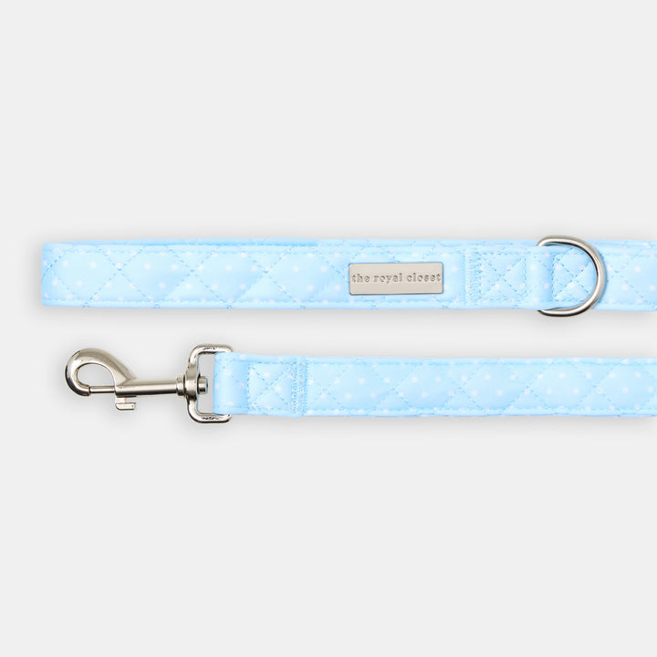 The Dot Lead - lead view