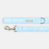 The Dot Lead - lead view