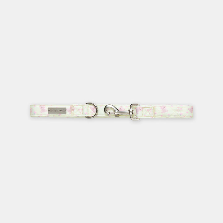 The Teddy Lead - lead detail