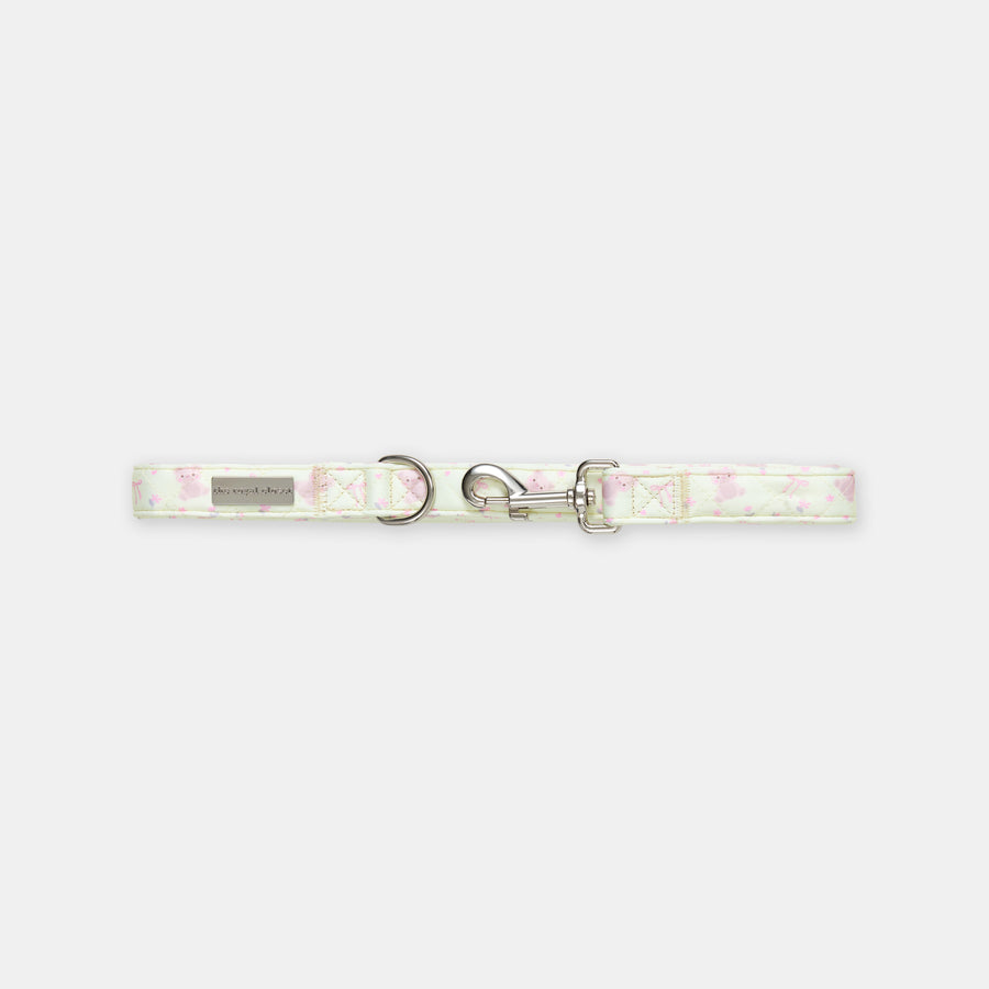The Teddy Lead - lead detail