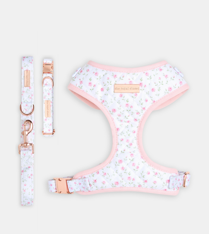 The Rose Walk Kit