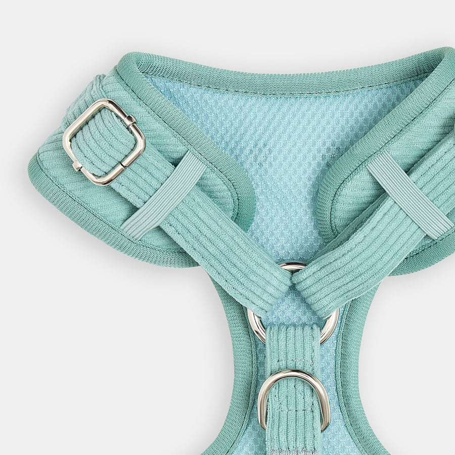 Customizable Fit