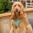 The Cord Harness on Penny — Penny wearing size M