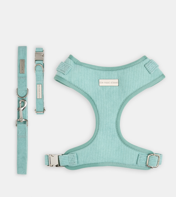 The Cord Walk Kit bundle image