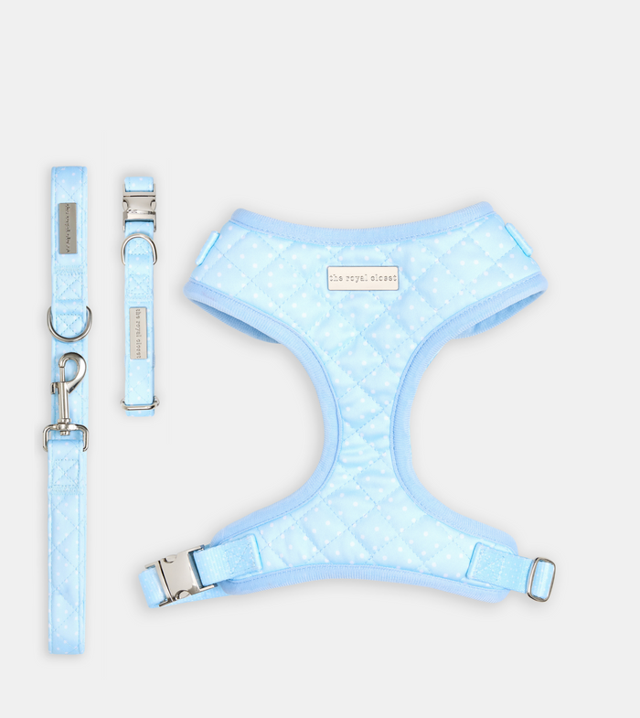 The Dot Walk Kit bundle image