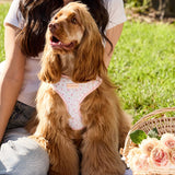 Penny wearing size M