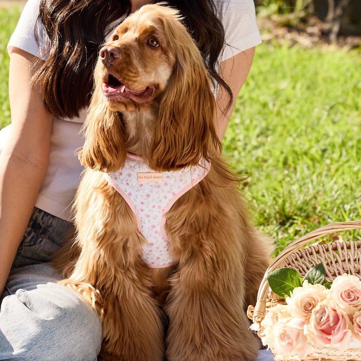 Penny wearing size M