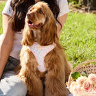 Penny wearing size M
