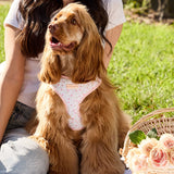Penny wearing size M