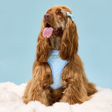 Penny wearing size M