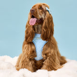 Penny wearing size M