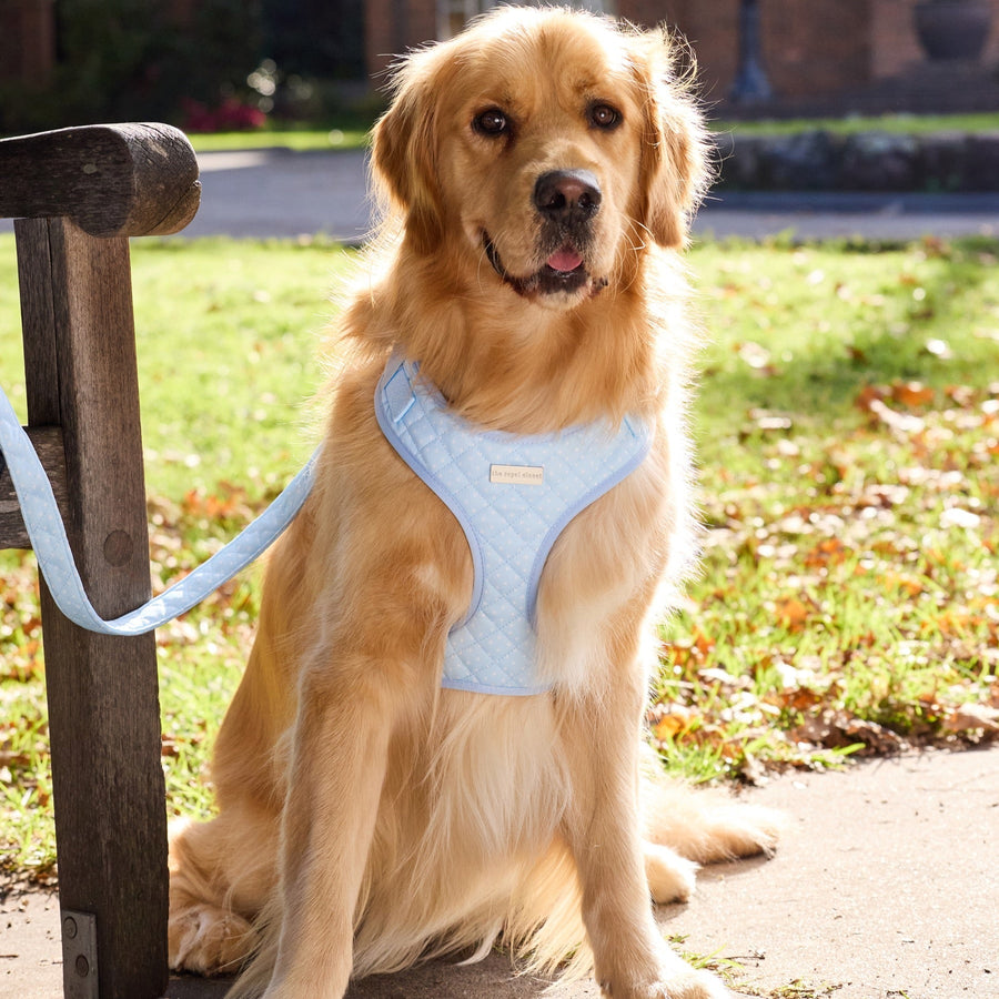 Sully wearing size L