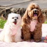 Chloe wearing size XS & Rosie wearing size S