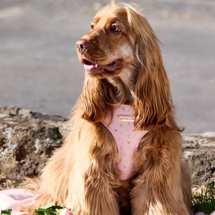 Penny wearing size M