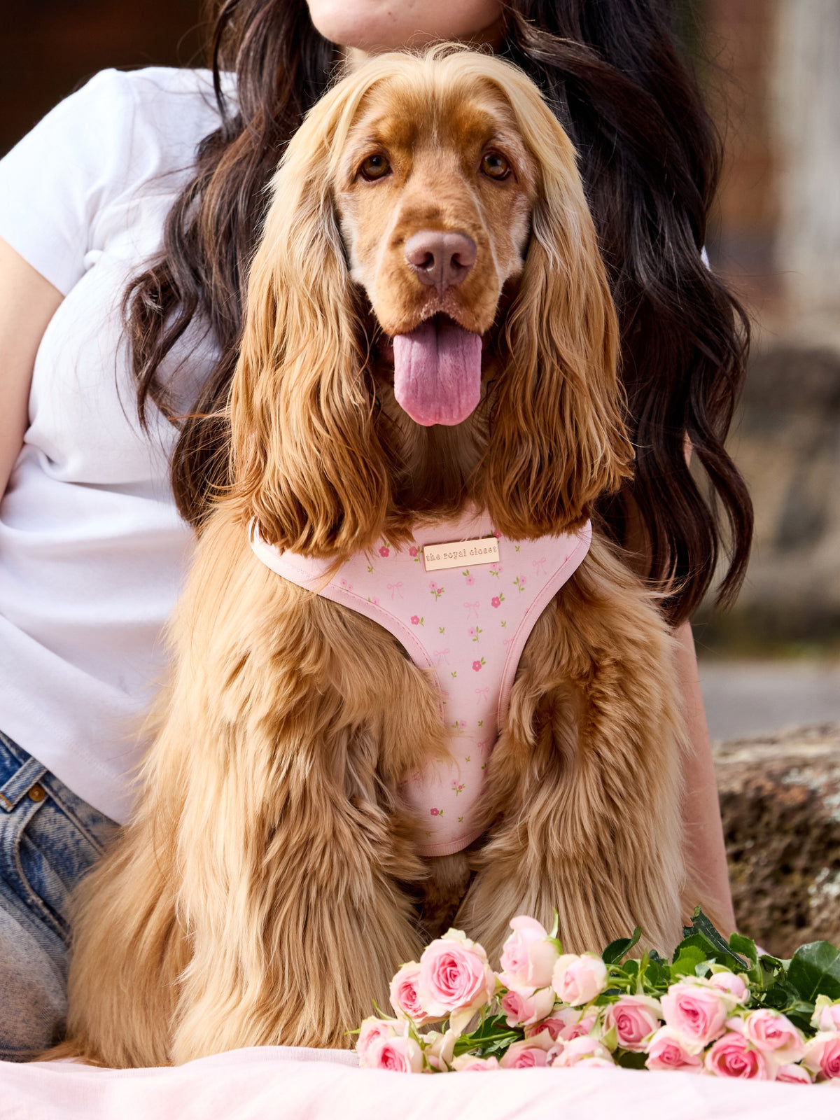 Penny wearing The Floral Harness