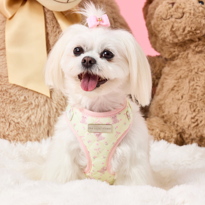 Chloe wearing size XS