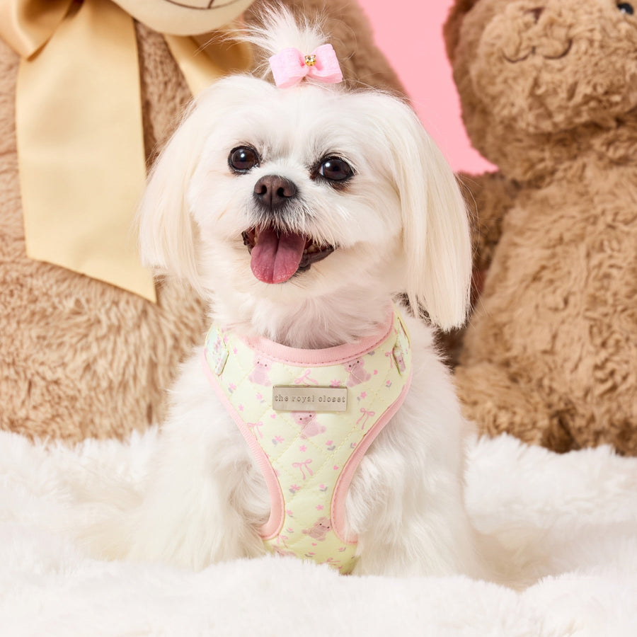 Chloe wearing size XS