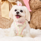 Chloe wearing size XS