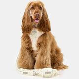 Penny wearing size M